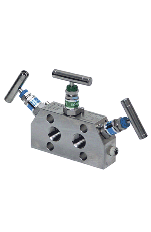 Manifold